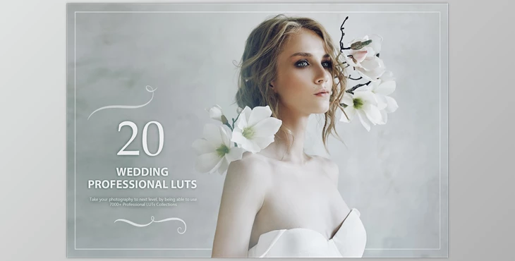 Download 20 Wedding LUTs Pack CreativeMarket-5602691 (XMP, JPG)