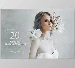 Download 20 Wedding LUTs Pack CreativeMarket-5602691 (XMP, JPG)
