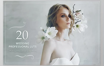 Download 20 Wedding <span class='badge badge-warning'>LUTs</span> Pack CreativeMarket-5602691 (XMP, JPG)
