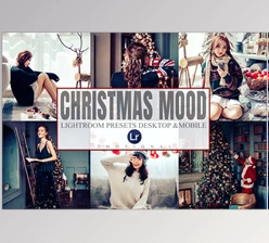 Download 15 Christmas Lightroom Presets CreativeMarket-5581592 (DNG, LRTEMPLATE, JPG)