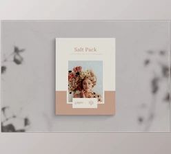 Download G-PRESETS – Salt Pack Lightroom Presets