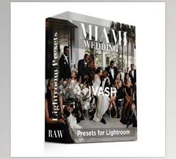 Download Ivash Studio – Wedding MIAMI – 1 GOLD Skin Lightroom Preset