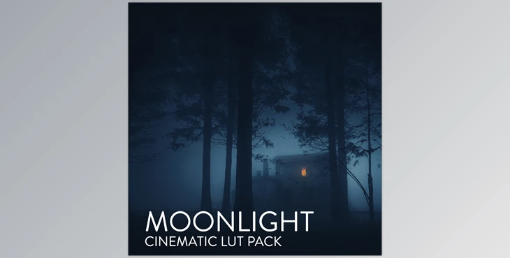 Download CINEMATIC LUTS: MOONLIGHT