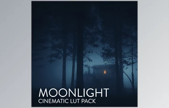 Download <span class='badge badge-warning'>CINEMATIC</span> LUTS: MOONLIGHT