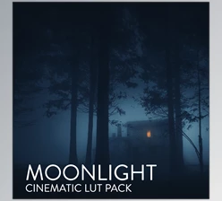 Download CINEMATIC LUTS: MOONLIGHT