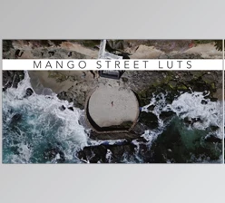 Download Mango Street LUT Collection (Venice, Chinatown, Joshua Tree, Panama, Wicker Park, Kivik)