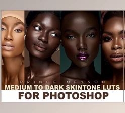 Download Prince Meyson – Skin Tone LUTs For Photoshop (sellfy)