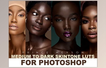 Download Prince Meyson – Skin Tone <span class='badge badge-warning'>LUTs</span> For Photoshop (sellfy)