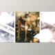 Download Christmas & New Year Frames (Motionarray 878289) - AE Project