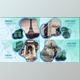 Download Travel Slideshow (Motionarray 876026) - AE Project