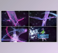 Download Christmas Particles (Videohive 20989021) - AE Project