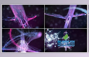 Download Christmas Particles (Videohive <span class='badge badge-warning'>20989021</span>) - AE Project