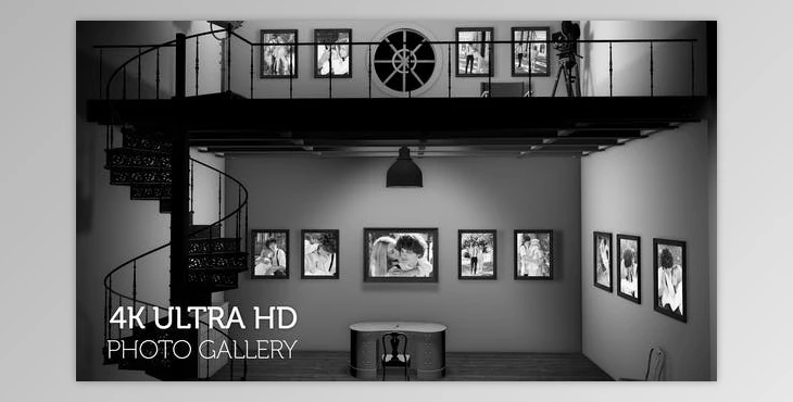 Download Black and White Photo Gallery in an Industrial style Loft at Night (Videohive  29724011) - AE Project