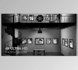 Download Black and White Photo Gallery in an Industrial style Loft at Night (Videohive  29724011) - AE Project
