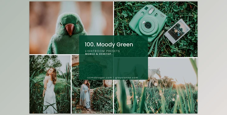 Download 100. Moody Green Preset CreativeMarket-4998928 (DNG, ZIP, XMP)