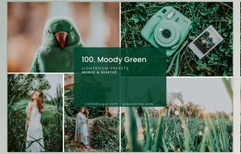 Download 100. Moody Green <span class='badge badge-warning'>Preset</span> CreativeMarket-4998928 (DNG, ZIP, XMP)