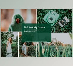 Download 100. Moody Green Preset CreativeMarket-4998928 (DNG, ZIP, XMP)
