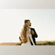Download EMDC Presets | Emily Magers Photography