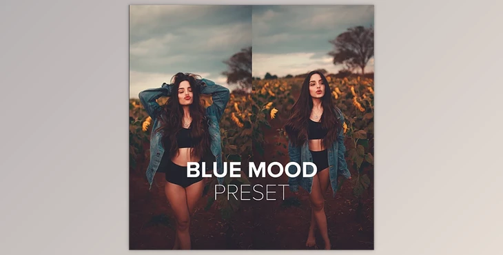 Download Luizclas – Blue Mood Preset (PC, Mobile)
