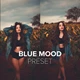 Download Luizclas – Blue Mood Preset (PC, Mobile)