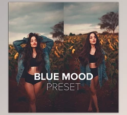 Download Luizclas – Blue Mood Preset (PC, Mobile)