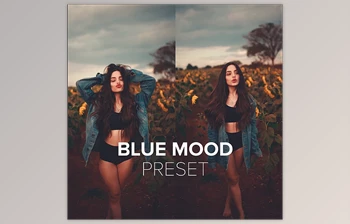 Download Luizclas – Blue Mood Preset (<span class='badge badge-warning'>PC</span>, <span class='badge badge-warning'>Mobile</span>)