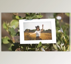 Download Summer Days (Motionarray 256682) - AE Project