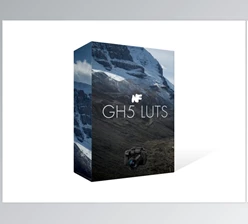 Download Neumann Films - Lumix GH5 LUTs