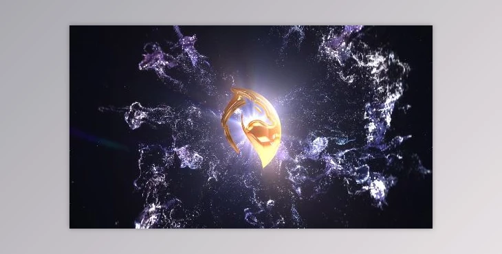 Download Glitter Explosion Logo Reveal (Motionarray 852768) - AE Project