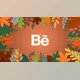 Download Autumn Leaves Falling Reveal (Motionarray 851849) - AE Project