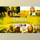Download Phoniex Lightroom Presets CreativeMarket-5157423 (DNG, XMP, LRTEMPLATE, PDF, ATN) - Mobile And Desktop