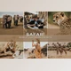 Download 5 Safari Lightroom Presets CreativeMarket-5698736 (DNG, XMP) - Mobile And Desktop