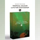 Sellfy - Tropical Colour LUTs For Photoshop