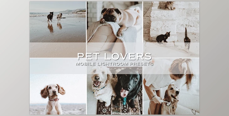 Download 5 Moody Pet Lightroom Presets CreativeMarket-5698951 (DNG , XMP) - Mobile And Desktop