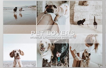 Download 5 Moody Pet Lightroom Presets <span class='badge badge-warning'>CreativeMarket-5698951</span> (DNG , XMP) - Mobile And Desktop