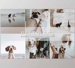 Download 5 Moody Pet Lightroom Presets CreativeMarket-5698951 (DNG , XMP) - Mobile And Desktop