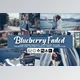 Download Blueberry faded Presets CM-5693268 (LRTEMPLATE, DNG, XMP, PDF, ATN)