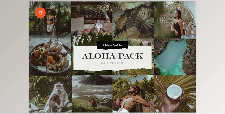 Download Aloha – 8 Lightroom Presets Pack CreativeMarket-5033754 (Mobile, Desk)