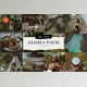 Download Aloha – 8 Lightroom Presets Pack CreativeMarket-5033754 (Mobile, Desk)