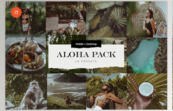 Download Aloha – 8 Lightroom Presets Pack <span class='badge badge-warning'>CreativeMarket-5033754</span> (Mobile, Desk)