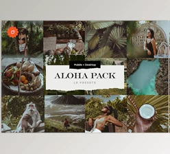 Download Aloha – 8 Lightroom Presets Pack CreativeMarket-5033754 (Mobile, Desk)