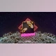 Download Retro VHS Logo (Videohive 23864590) - AE Project