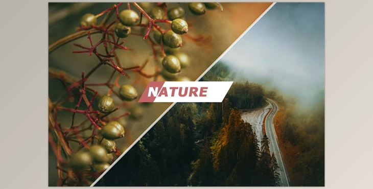 Download Nature Photoshop Actions CreativeMarket-5460523 (ATN)
