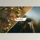 Download Nature Photoshop Actions CreativeMarket-5460523 (ATN)