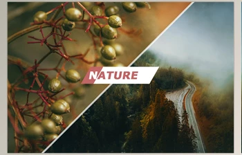 Download Nature <span class='badge badge-warning'>Photoshop</span> Actions CreativeMarket-5460523 (ATN)