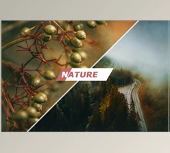 Download Nature Photoshop Actions CreativeMarket-5460523 (ATN)
