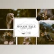 Download MOODY TALE – Lightroom Presets CreativeMarket-5667429 (XMP, DNG, LRTEMPLATE)