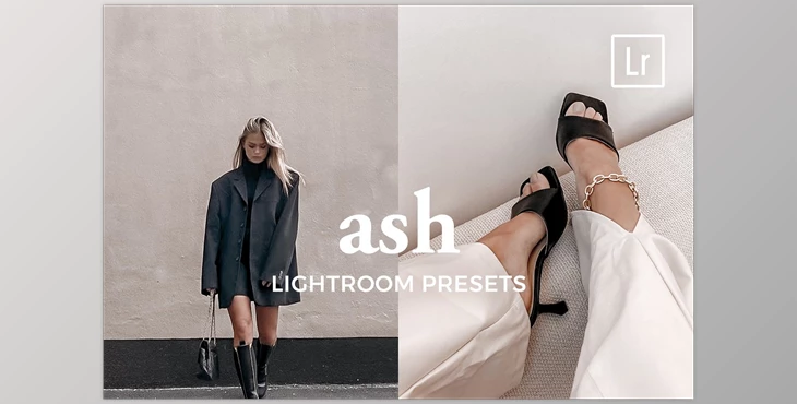 Download 4 Lightroom Presets ASH CreativeMarket-5486816 (DNG, XMP)