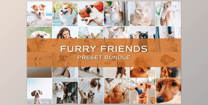 Download 20 Pet Lightroom Preset Bundle CreativeMarket-5701819 (DNG , XMP)