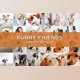 Download 20 Pet Lightroom Preset Bundle CreativeMarket-5701819 (DNG , XMP)